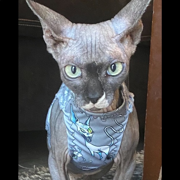 Meet your Posher, Mallory! - Picture 14 of 14